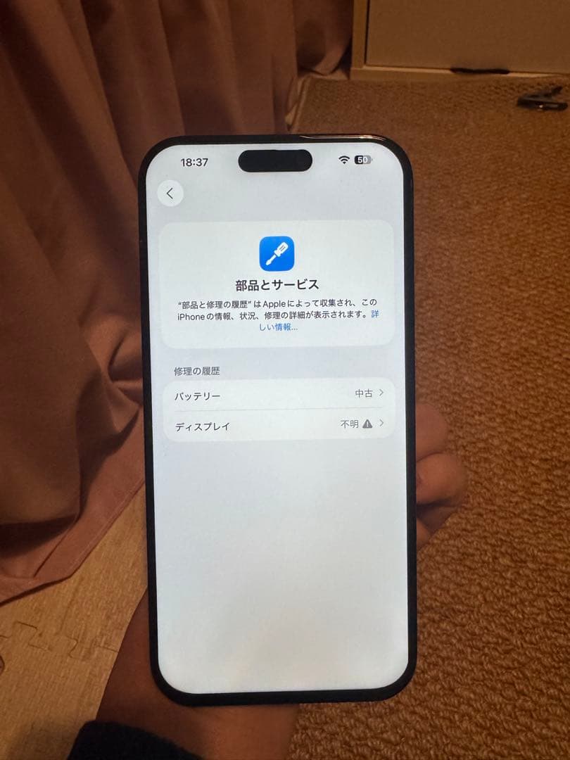 naona，海外版iPhone 16 Pro Max 256GB,美品