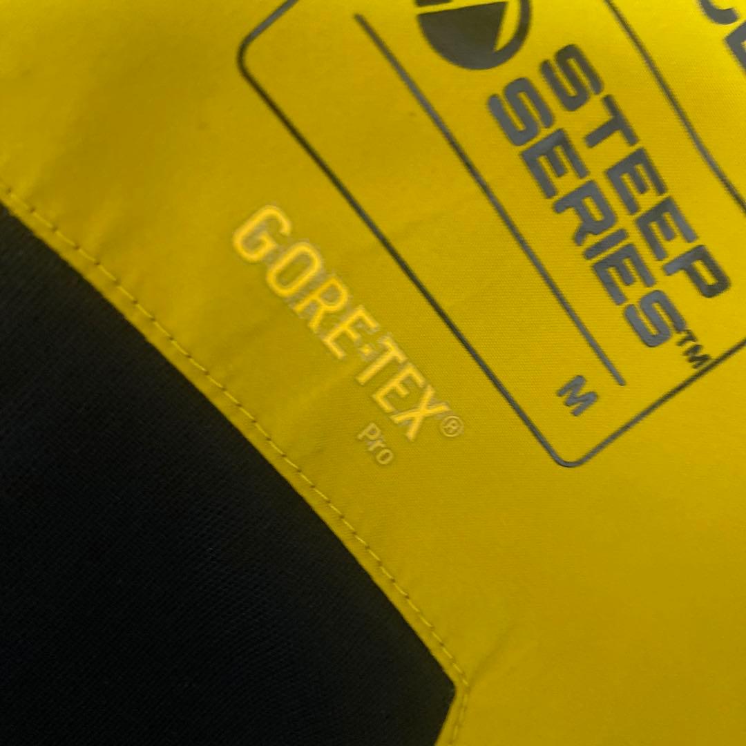 ノースフェイス　ゴアテックスプロ　ビブパンツ
