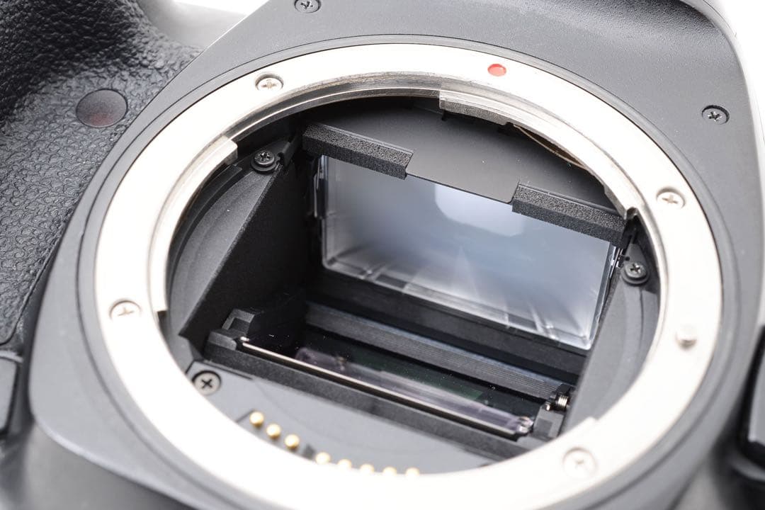 高画質/保証付/Canon EOS 5D Mark IV標準&望遠レンズセット