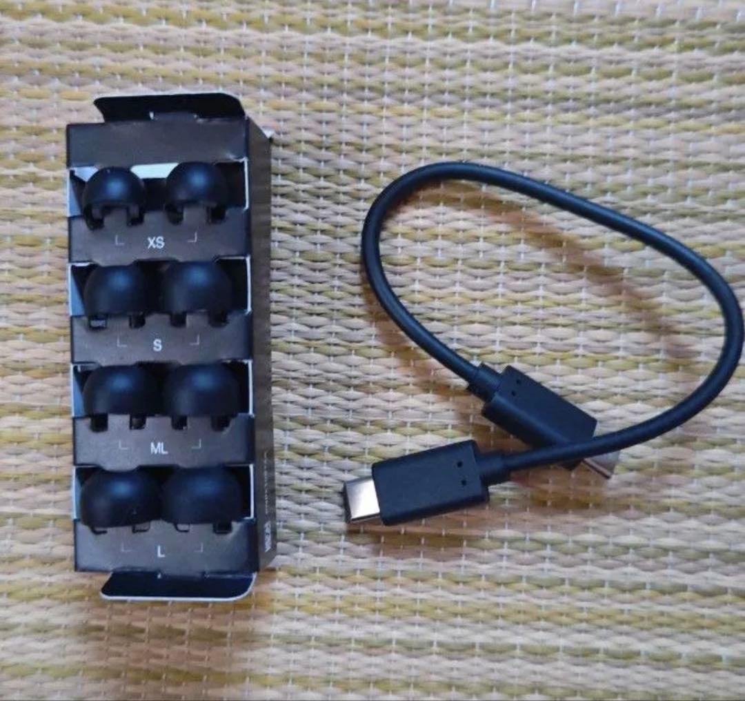 Technics EAH-AZ100 ブラック　シリコンケース付き