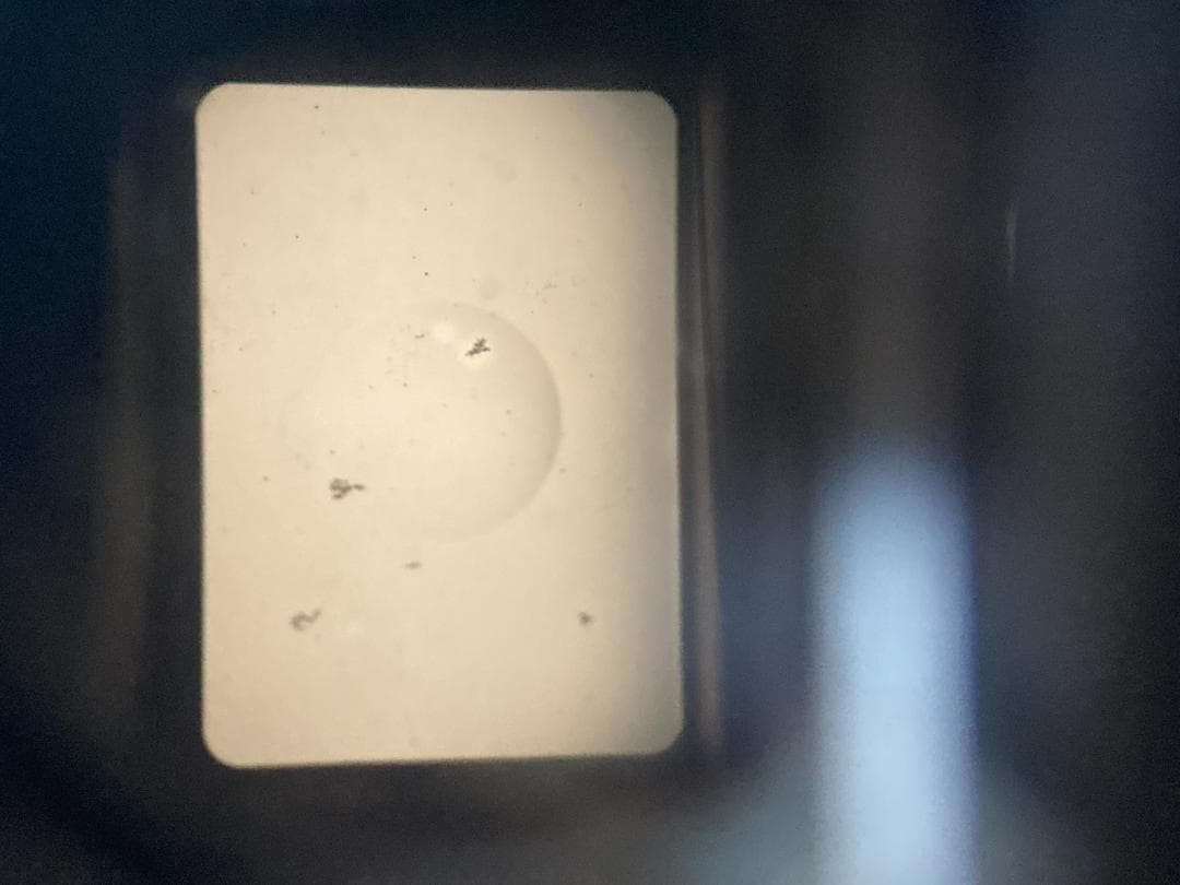 ☆完全動作☆オリンパス PEN F OLYMPUS フィルム ＃183