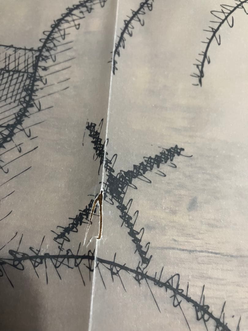 【希少】Kaws Paris,LA シルクスクリーンオリジナルポスター