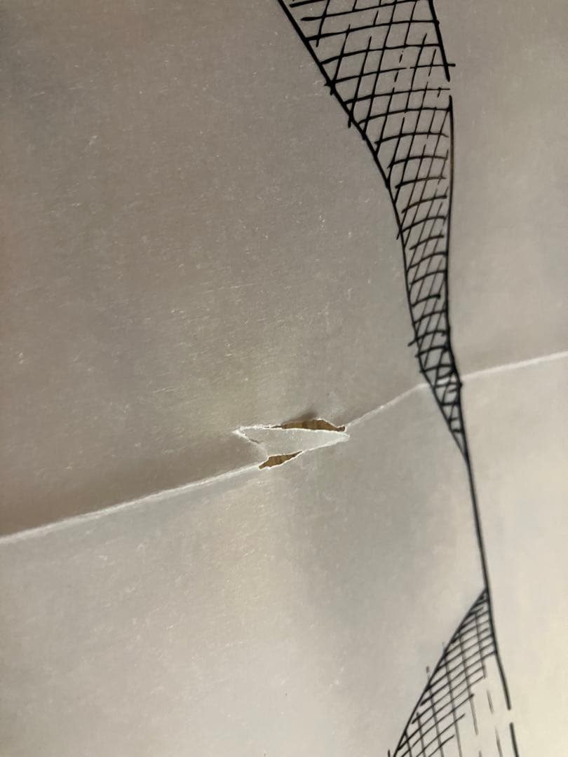 【希少】Kaws Paris,LA シルクスクリーンオリジナルポスター