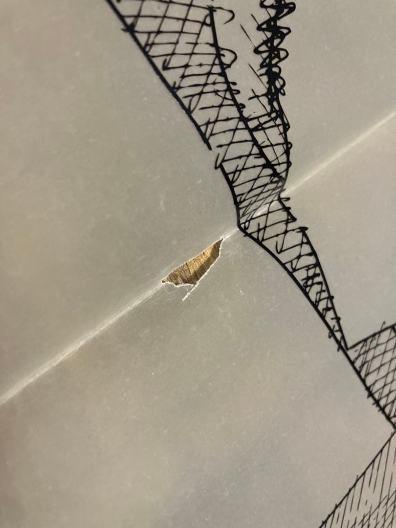 【希少】Kaws Paris,LA シルクスクリーンオリジナルポスター