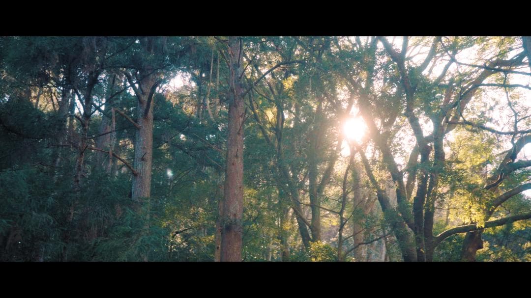 Sony a7iii セット(レンズ、可変ND、ブラックミスト、バッテリー付き)