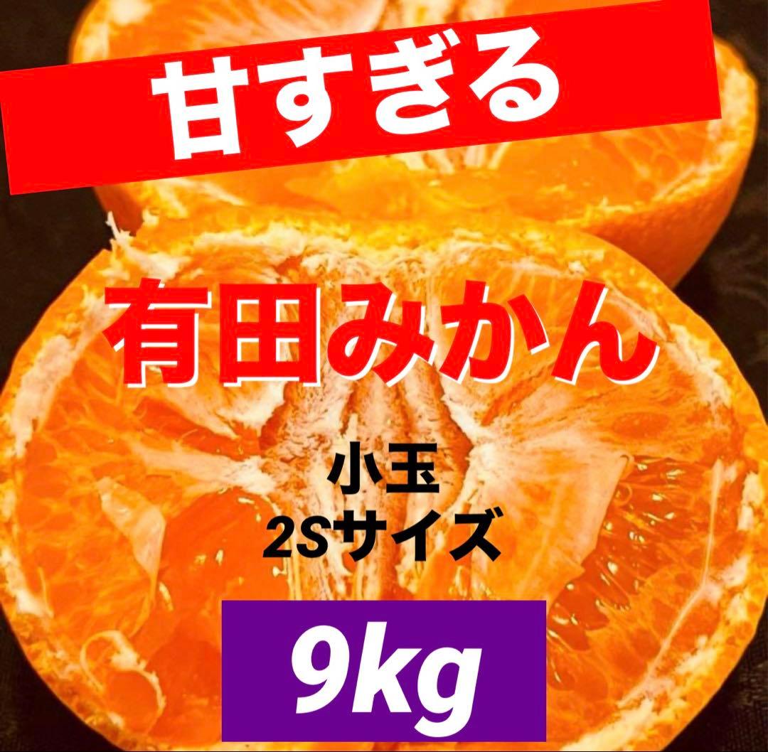 55)数量限定　甘すぎる　有田みかん　果物 　みかん　小玉　旬