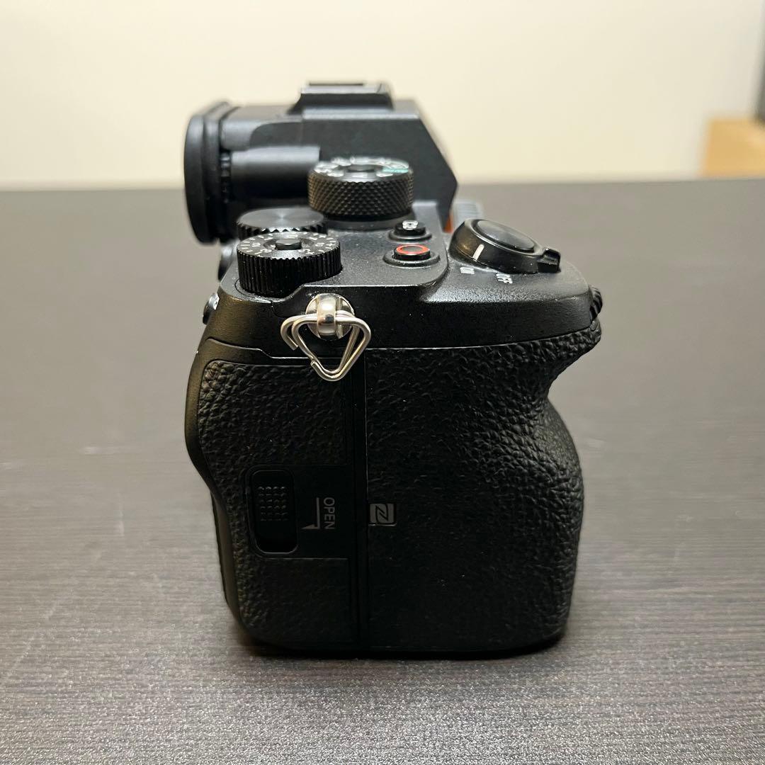 SONY α7Sⅲ ILCE-7SM3