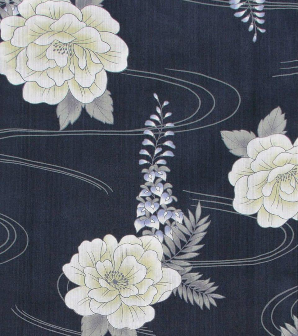 凪の藤ながれ　dita Dita ディータ 5点セット