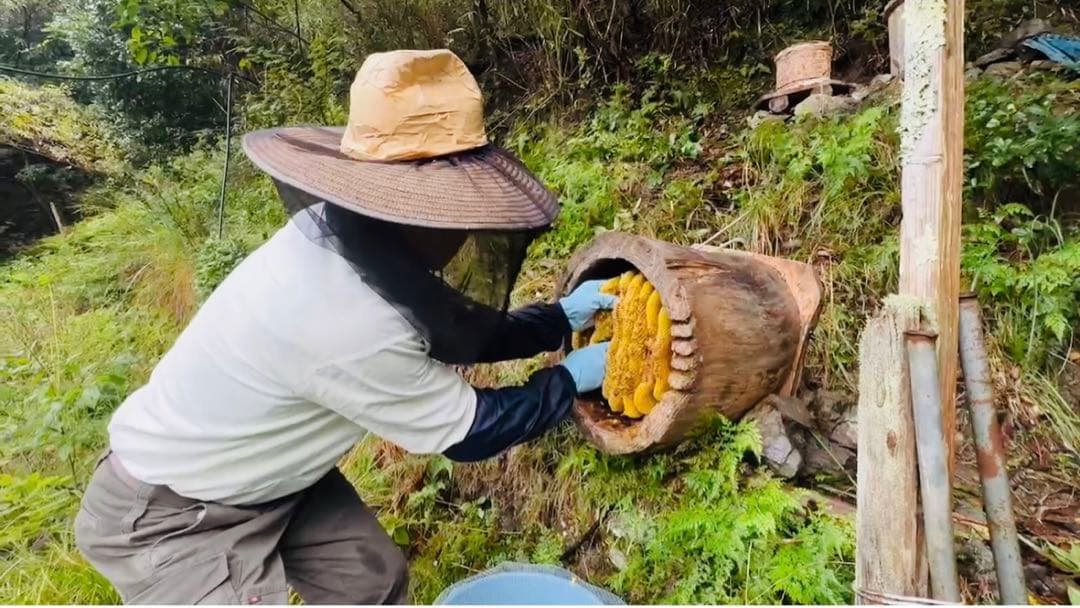 ニホンミツバチの非加熱・残留農薬なしの天然生蜂蜜　1kg