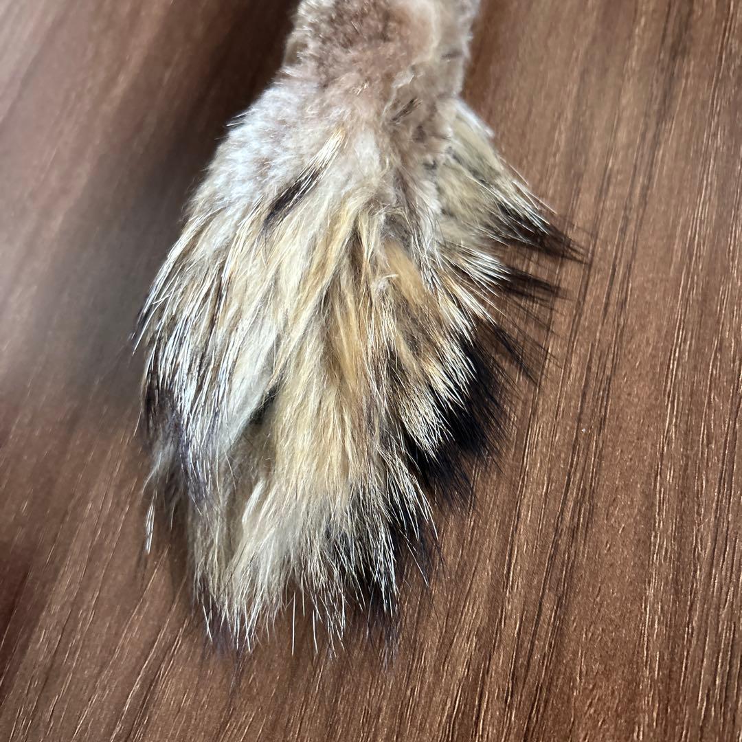 専用購入ページ✩.*˚