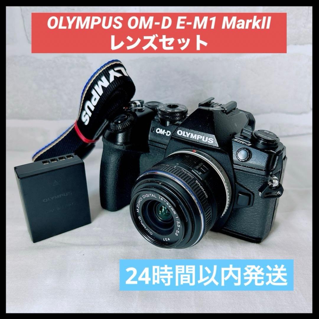 ⭐高性能　OLYMPUS OM-D E-M1 MarkII レンズセット ⭐