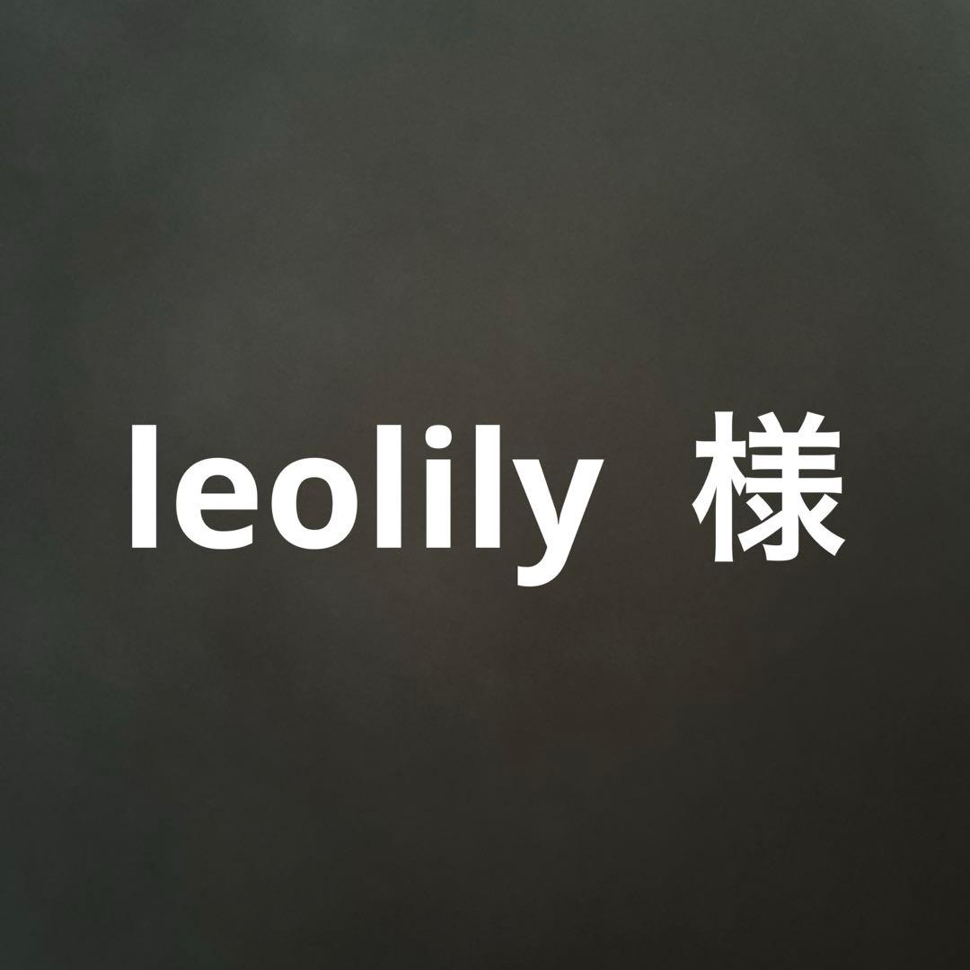 leolily様 Epiphone アコースティックギター DR-100 EB