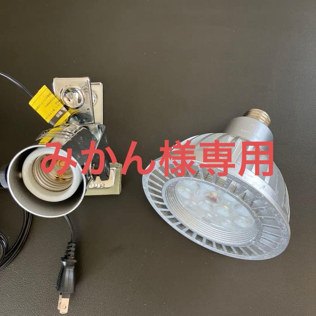 volxjapan Grassy ledio RX122 Coral おまけ付き