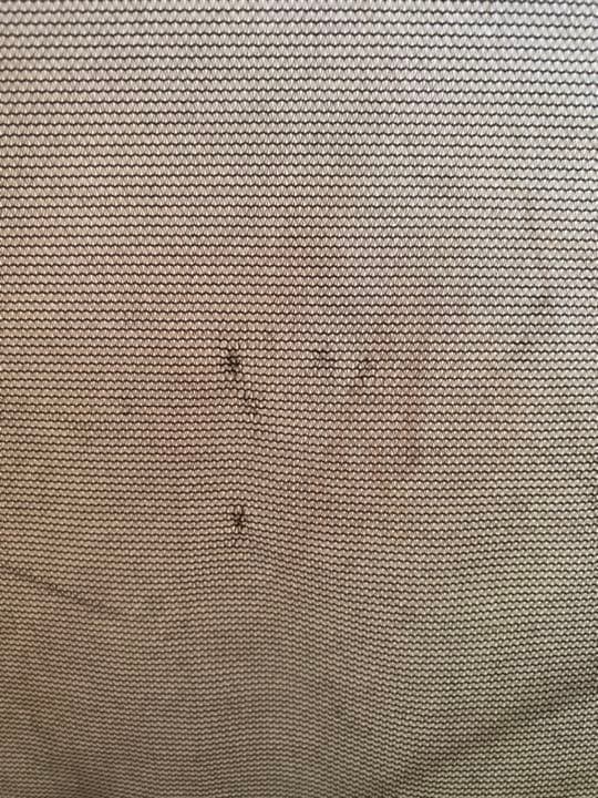 タフスクリーン2ルームハウス　ナチュラム限定カラー