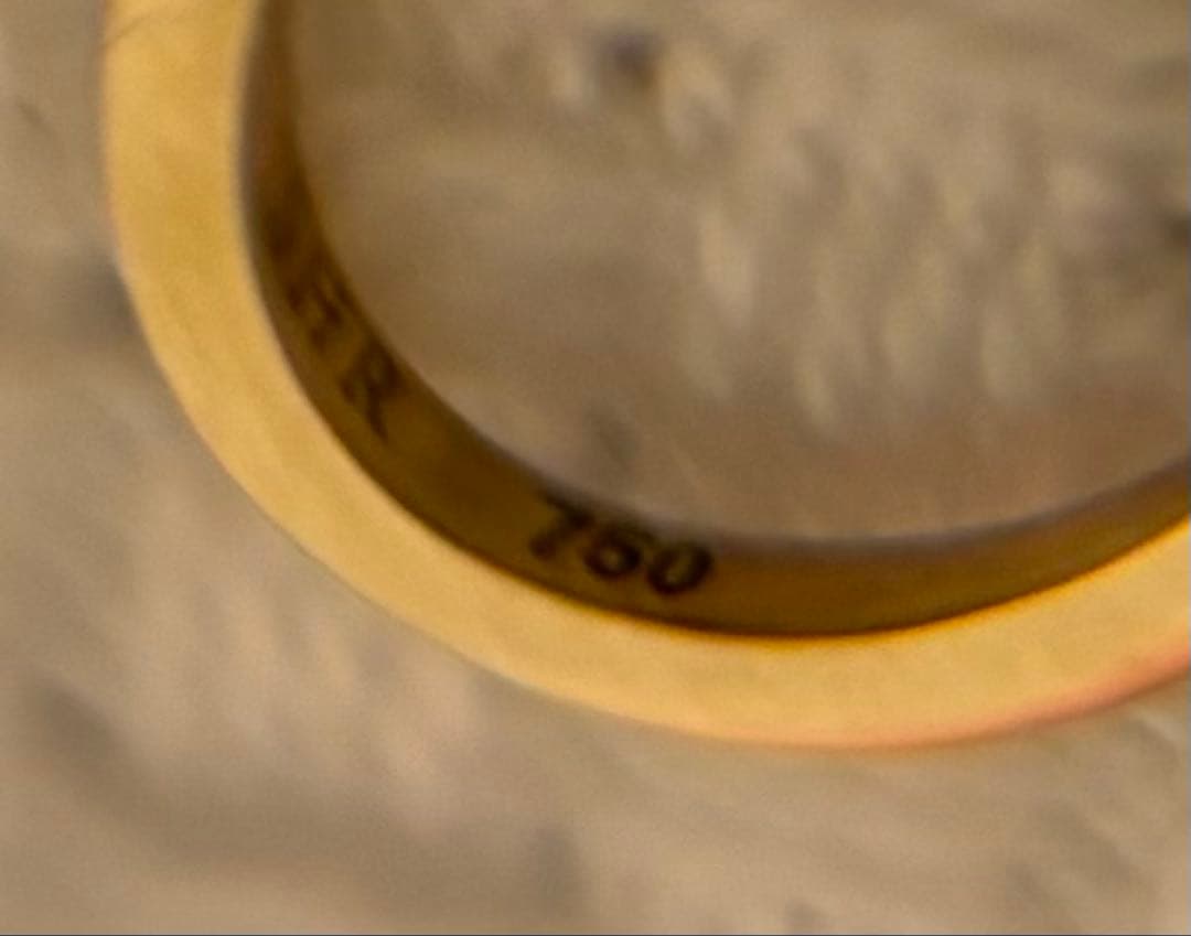 ◆ Shihara Form Pierce 10(01) シングル（片耳） ◆