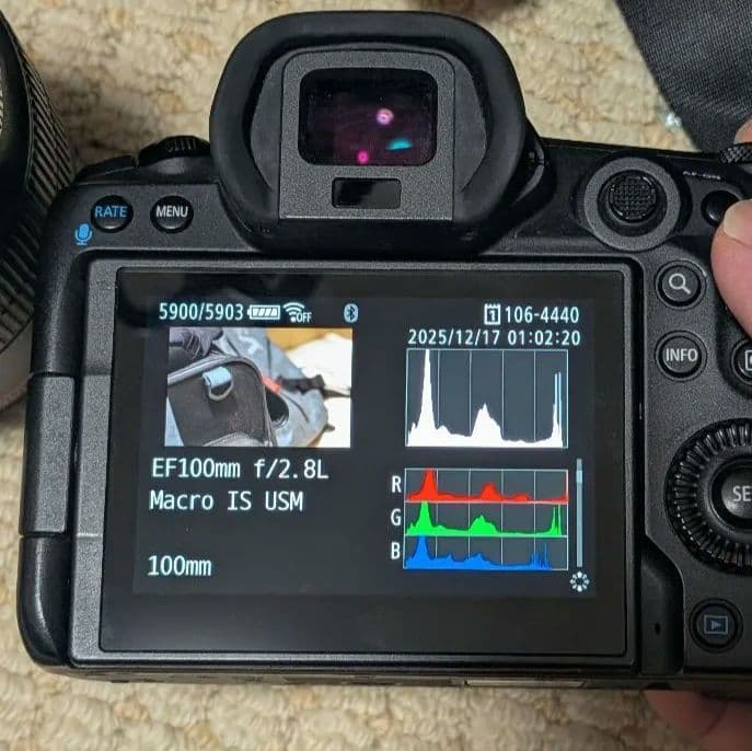 ※ジャンク Canon EF 100mm f/2.8L IS USM マクロ