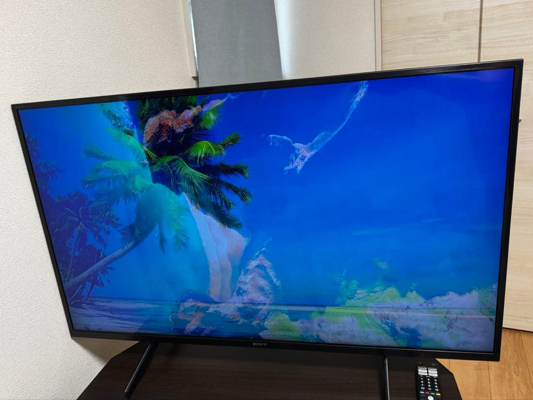 SONY BRAVIA 2021年式