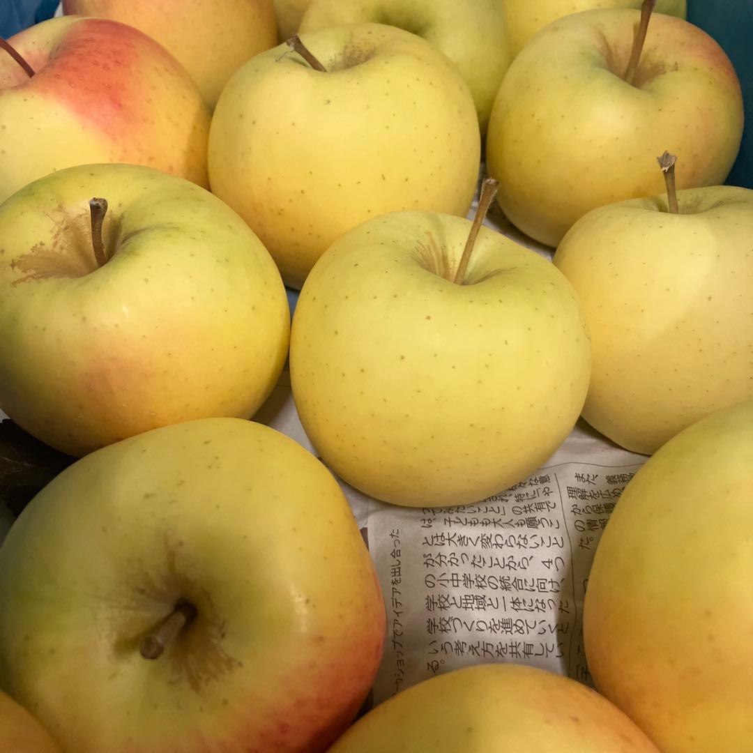 Bee　りんご　名月　2件