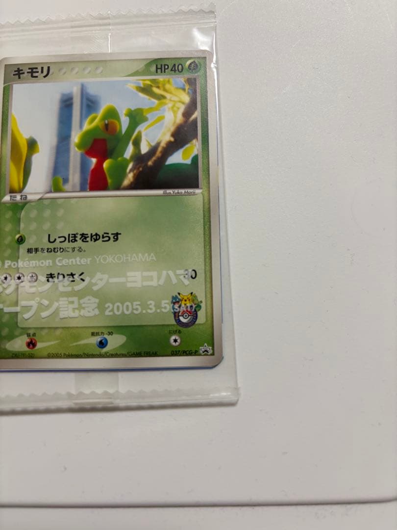 キモリ 037/PCG-P 2004 ポケモンセンター