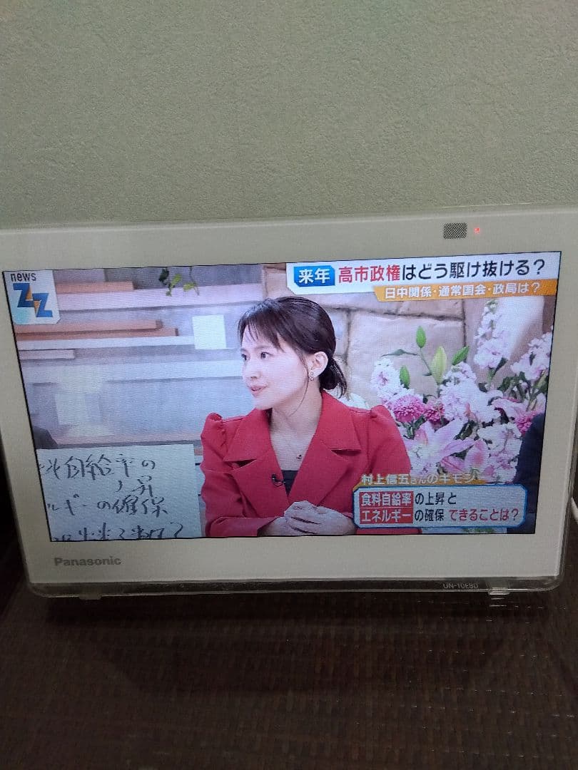 Panasonic VIERA ポータブルテレビ　UN-10E8D 中古