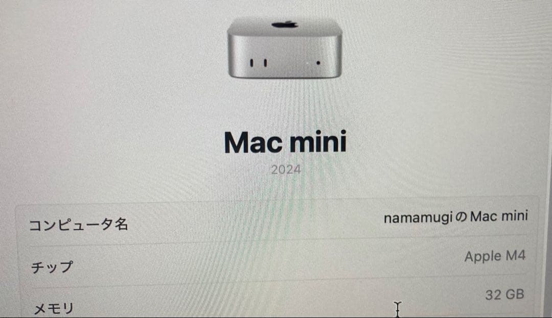 Apple Mac mini m4 メモリ 32GB SSD 512GB