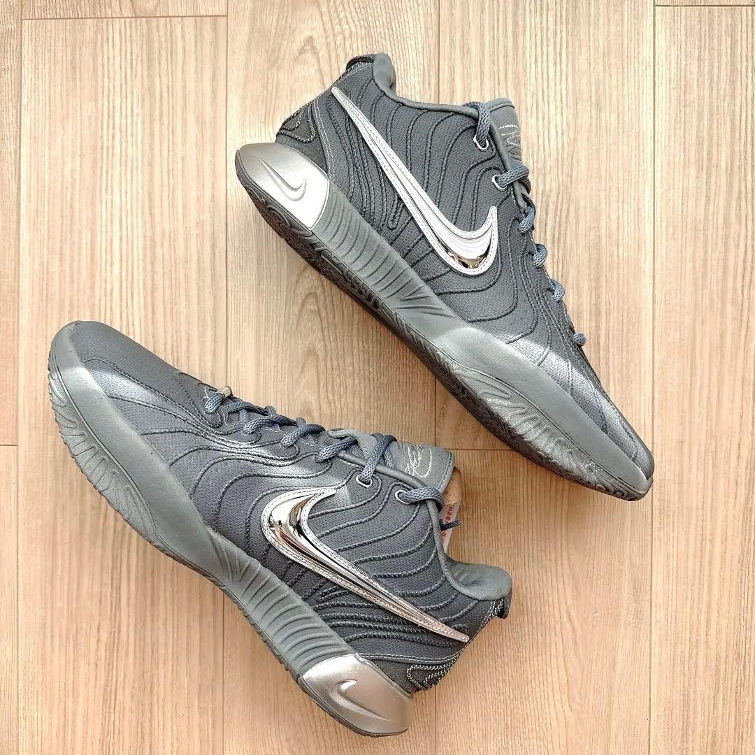 Nike LeBron XXI EP クールグレー 29cm / 美品 実戦向き