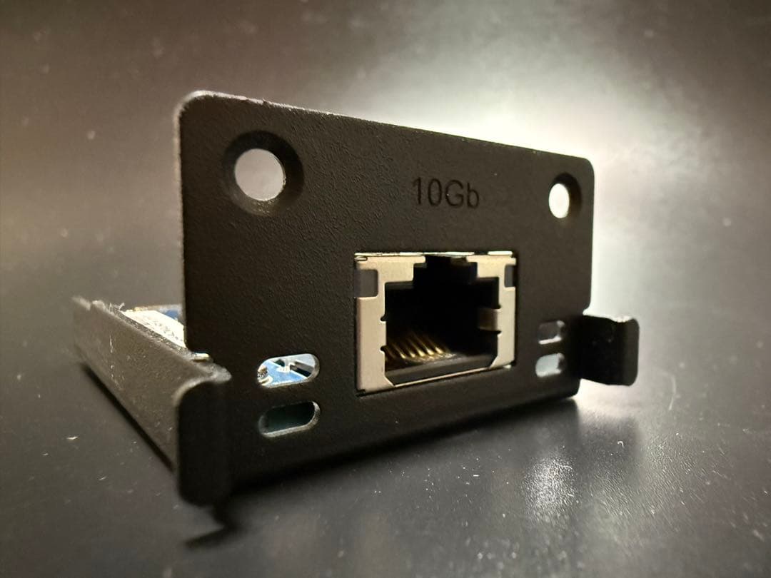 Synology E10G22-T1-Mini 10GbE拡張カード