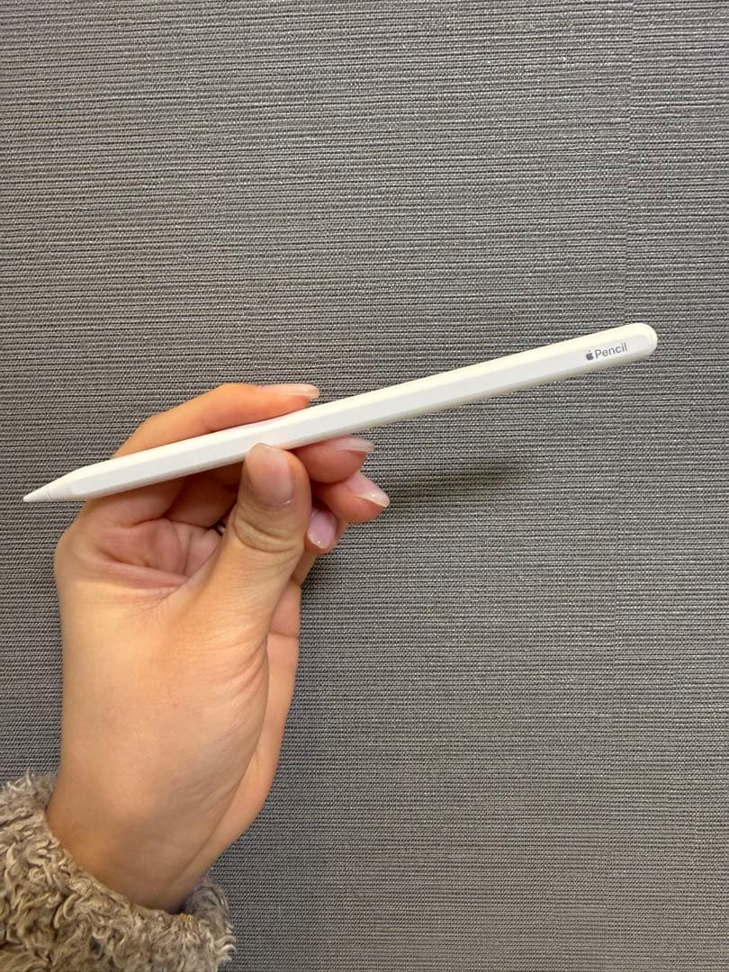 Apple Pencil 単体