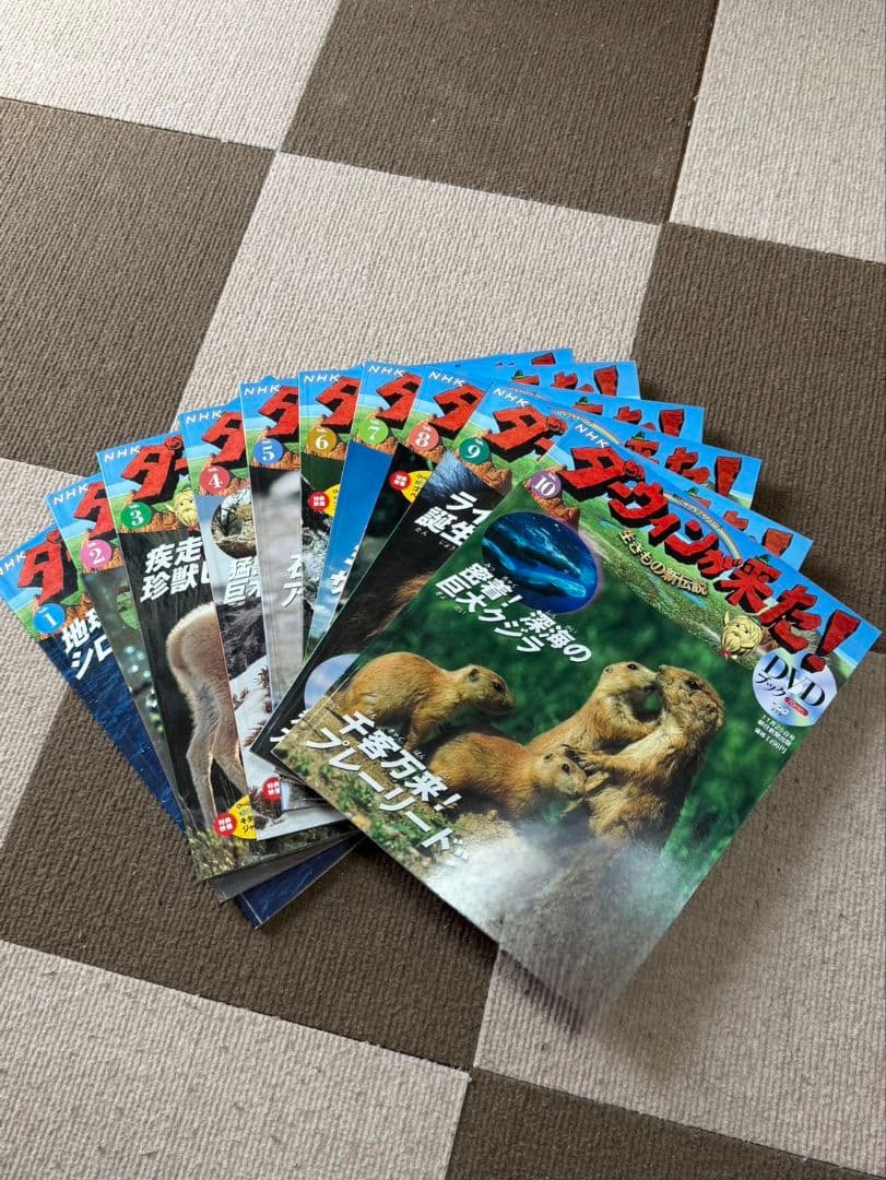 NHK　ダーウィンが来た　DVDセット47巻セット