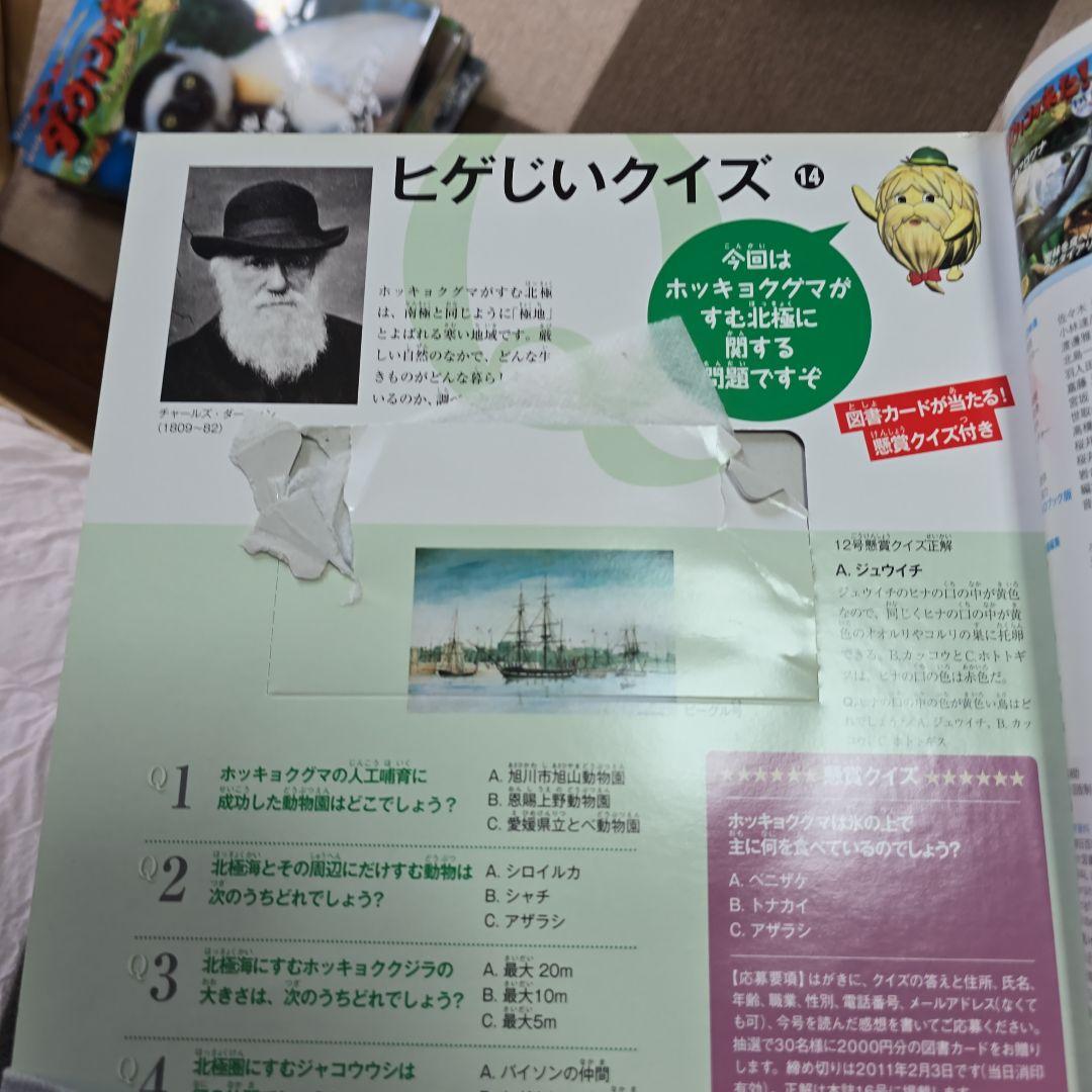 NHK　ダーウィンが来た　DVDセット47巻セット