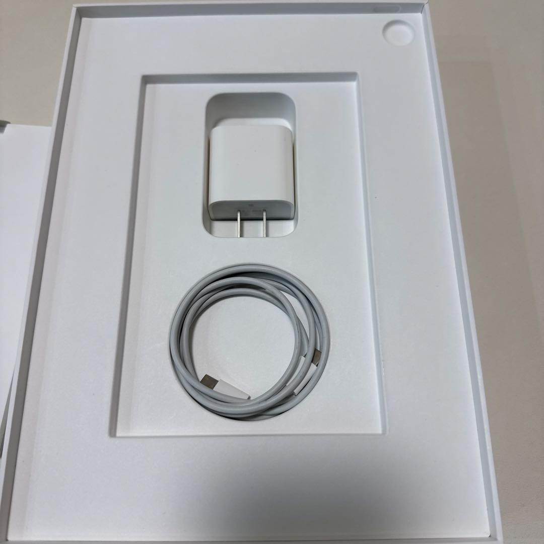 iPad Pro11インチ　第一世代256GB