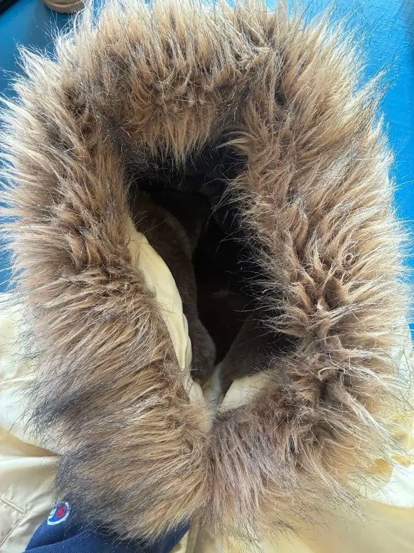 バズリクソンズ UNITED CARR N-3B UC10519 L