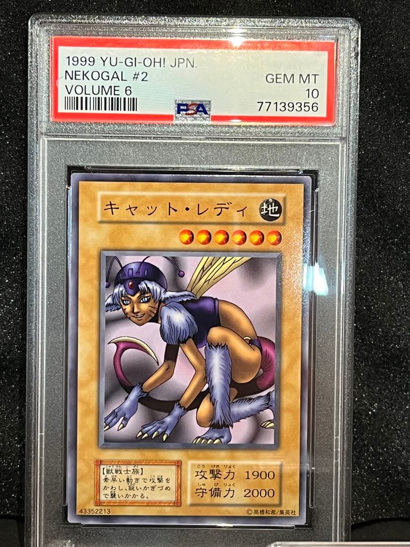 PSA キャットレディ　遊戯王 Yu gi oh PSA10 キャット・レディ