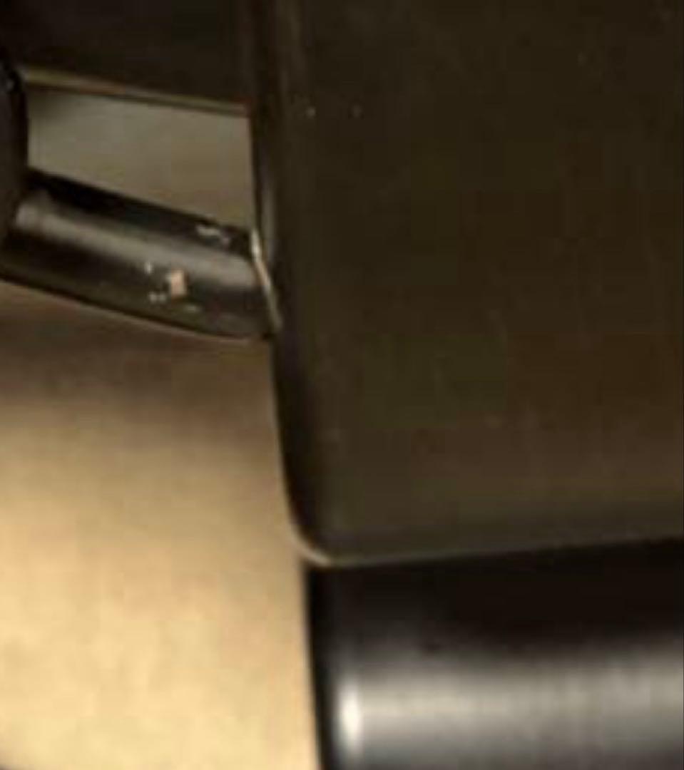 美品 Ｌサイズ エコーネス ロイヤル ブラック ストレスレス②