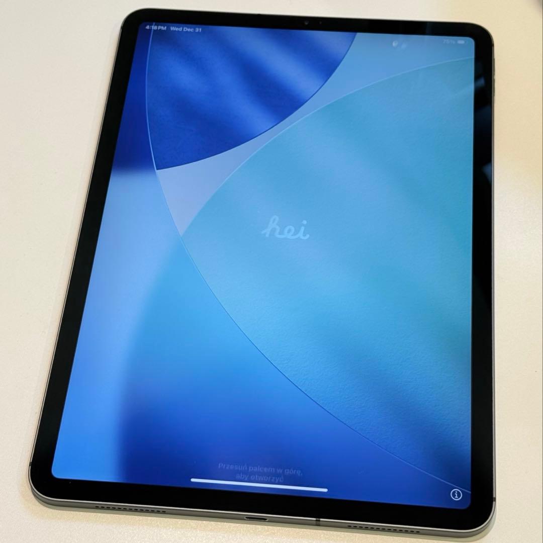 T*y様 iPad Pro 11インチ 2018 スペースグレー 256GB セ