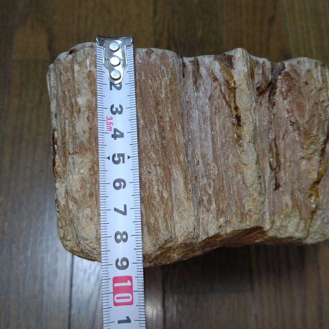 値下げ珪化木の置物　検木の化石　オブジェクトインテリアペトリファイドウッド