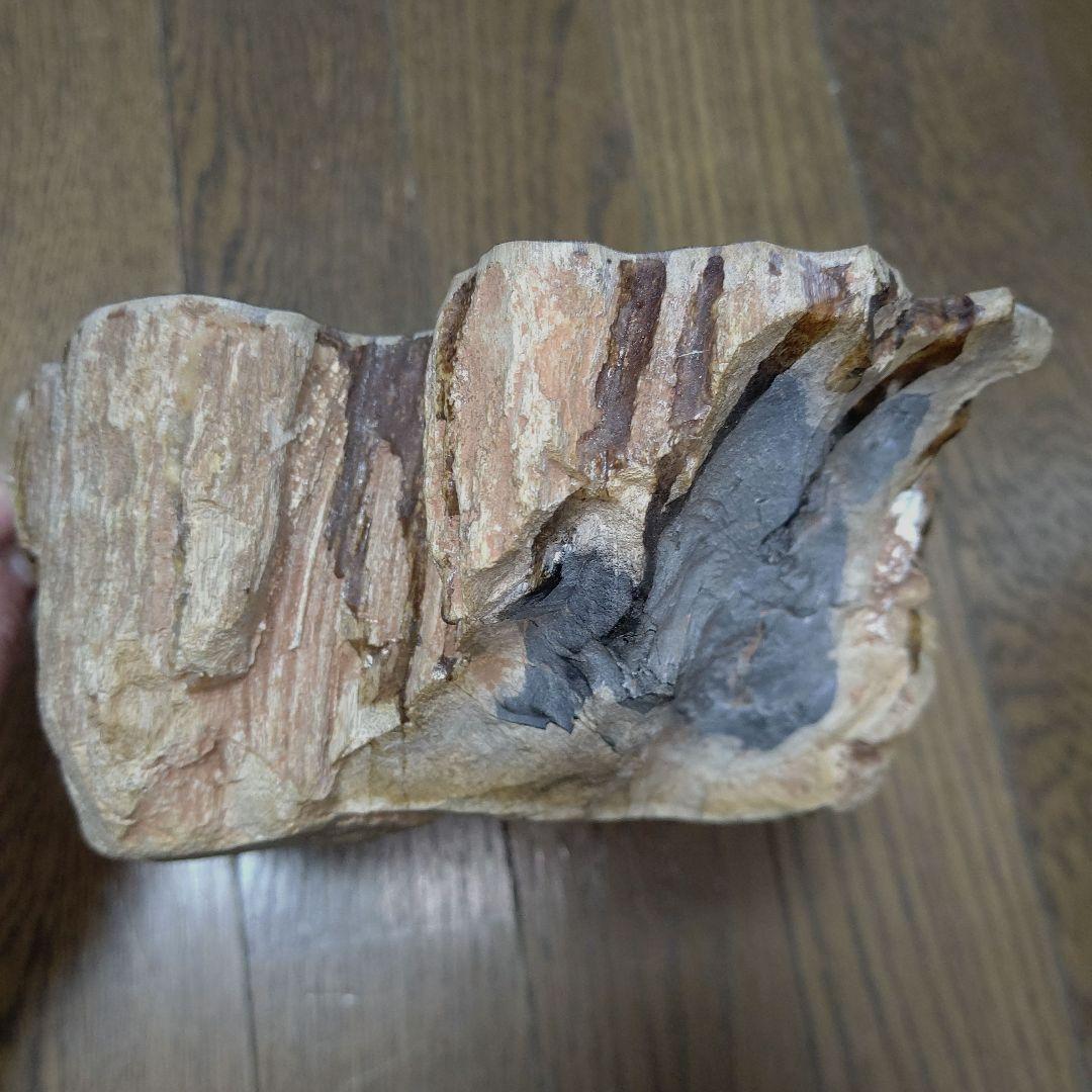 値下げ珪化木の置物　検木の化石　オブジェクトインテリアペトリファイドウッド