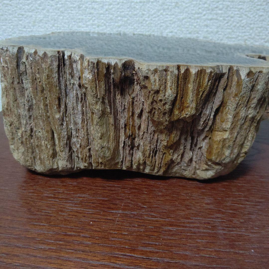 値下げ珪化木の置物　検木の化石　オブジェクトインテリアペトリファイドウッド