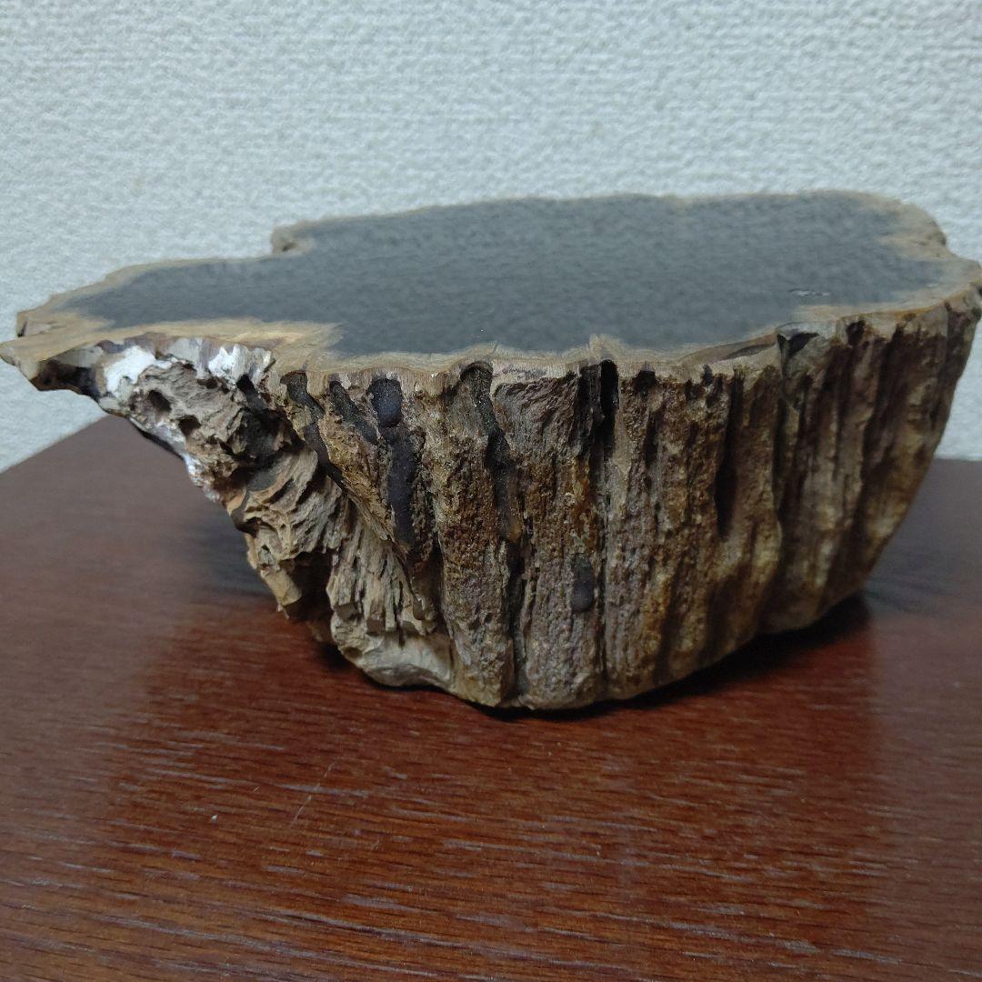 値下げ珪化木の置物　検木の化石　オブジェクトインテリアペトリファイドウッド