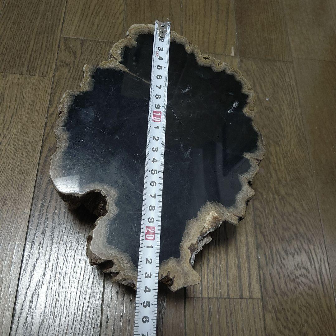 値下げ珪化木の置物　検木の化石　オブジェクトインテリアペトリファイドウッド