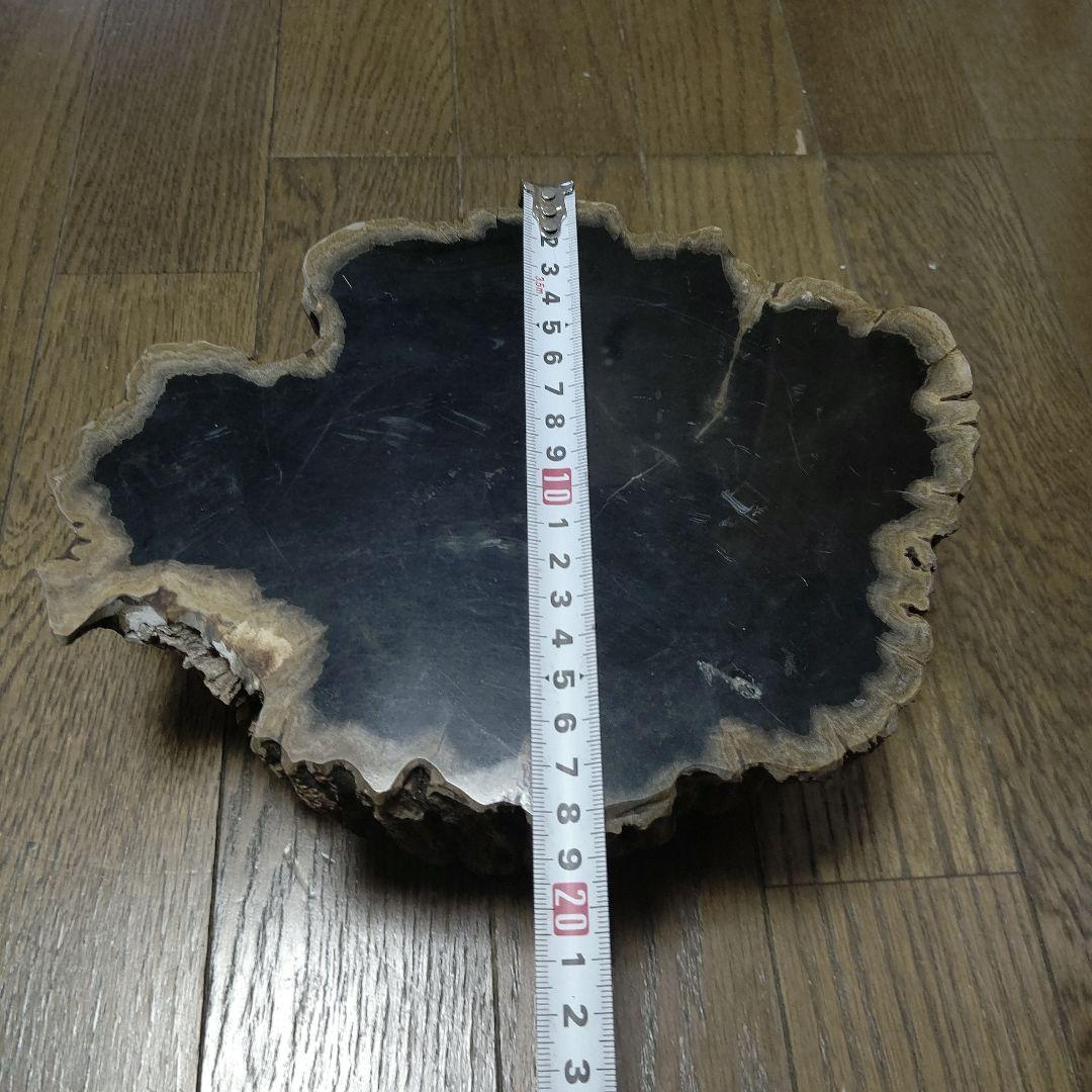 値下げ珪化木の置物　検木の化石　オブジェクトインテリアペトリファイドウッド