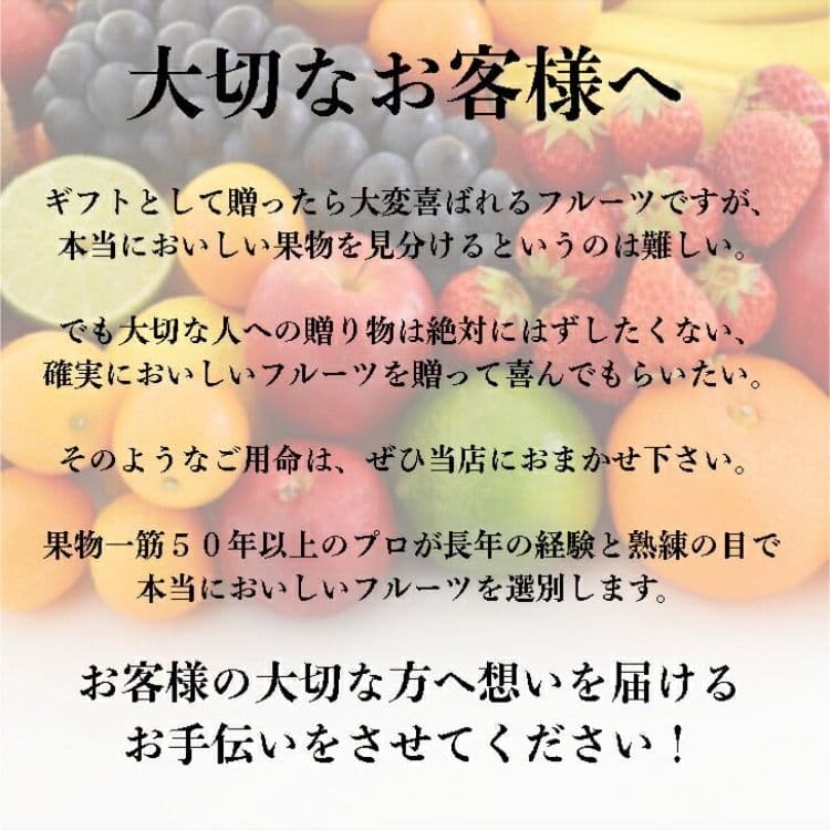 長崎県産伊木力みかん 小玉 10kg 約140個〜160個入 2S〜3S
