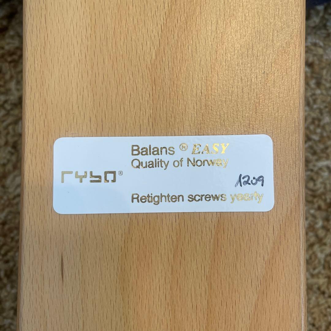 RYBO リボ バランスイージーチェア ネイビー