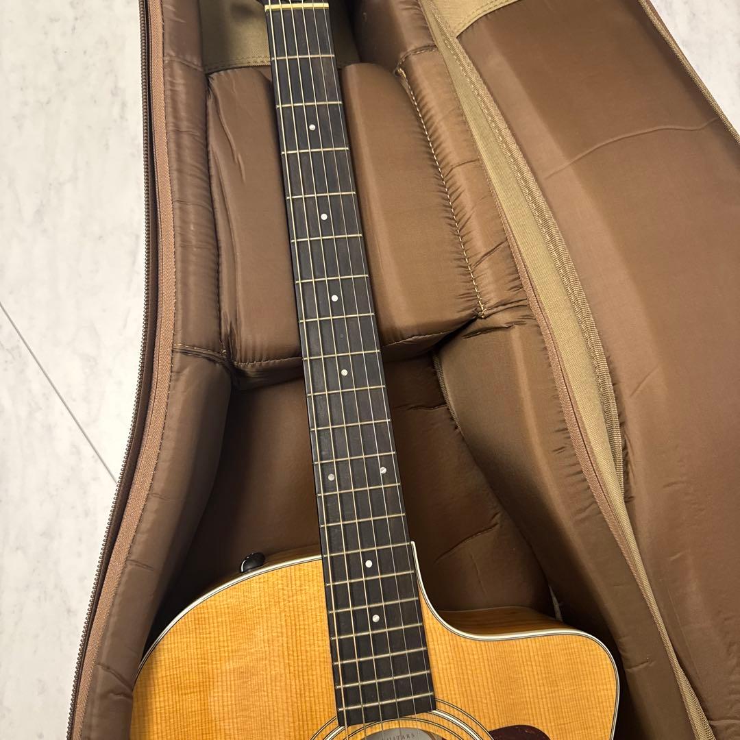 Taylor（テイラー）214ce KOAエレアコ アコースティックギ