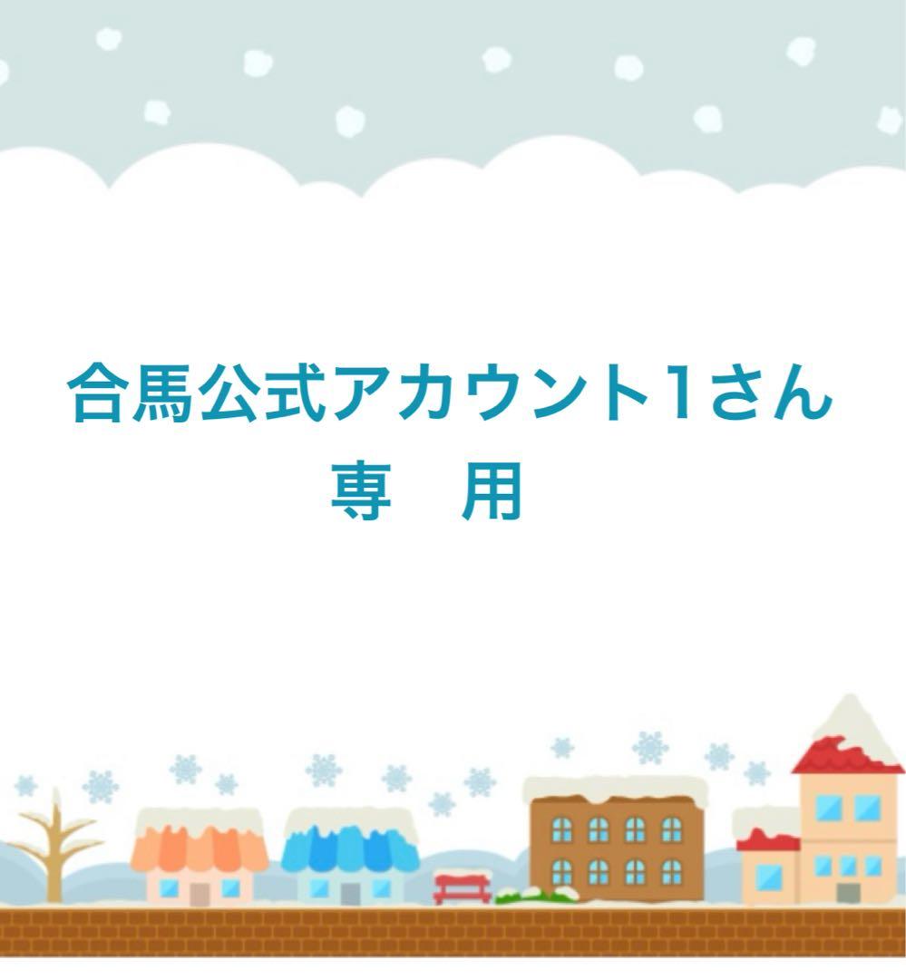 Vivienne Westwood ACCESSORIES アンゴラ混 ベレー帽