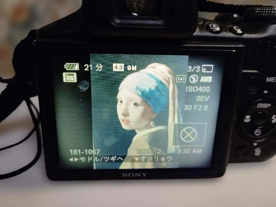 Sony Cyber-shot コンパクトデジタルカメラ　DSC-HX1