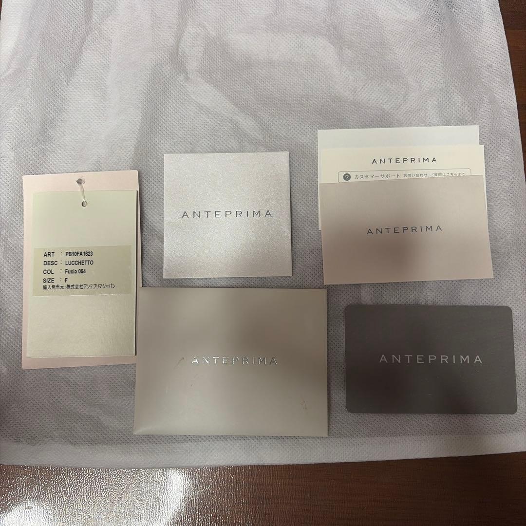 アンテプリマ ワイヤーバッグ ルッケット フクシアピンク