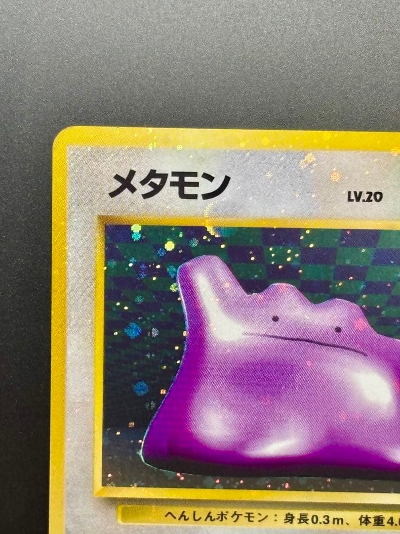 【旧裏,希少個体】メタモン 全面ホロ 特大