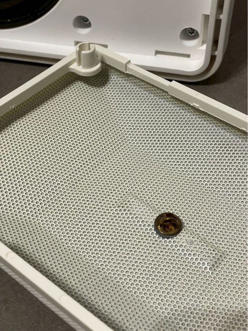 BOSE 101MMW スピーカーシステム 左右ペア 動作確認済み 希少ホワイト