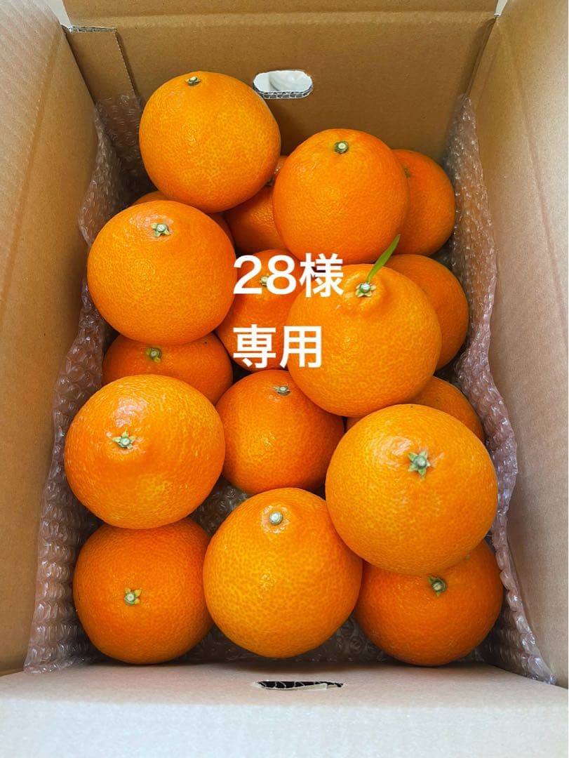 紅まどんな(5kgx2箱)⚠特選3L玉